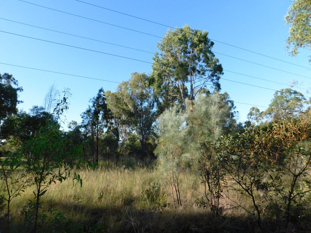 Lot 27 Memerambi Barkers Creek Road, Wattle Camp QLD 4615