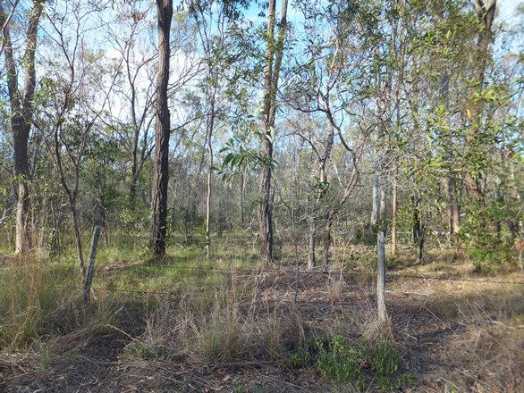 Lot 122 Isis Highway, Kullogum QLD 4660