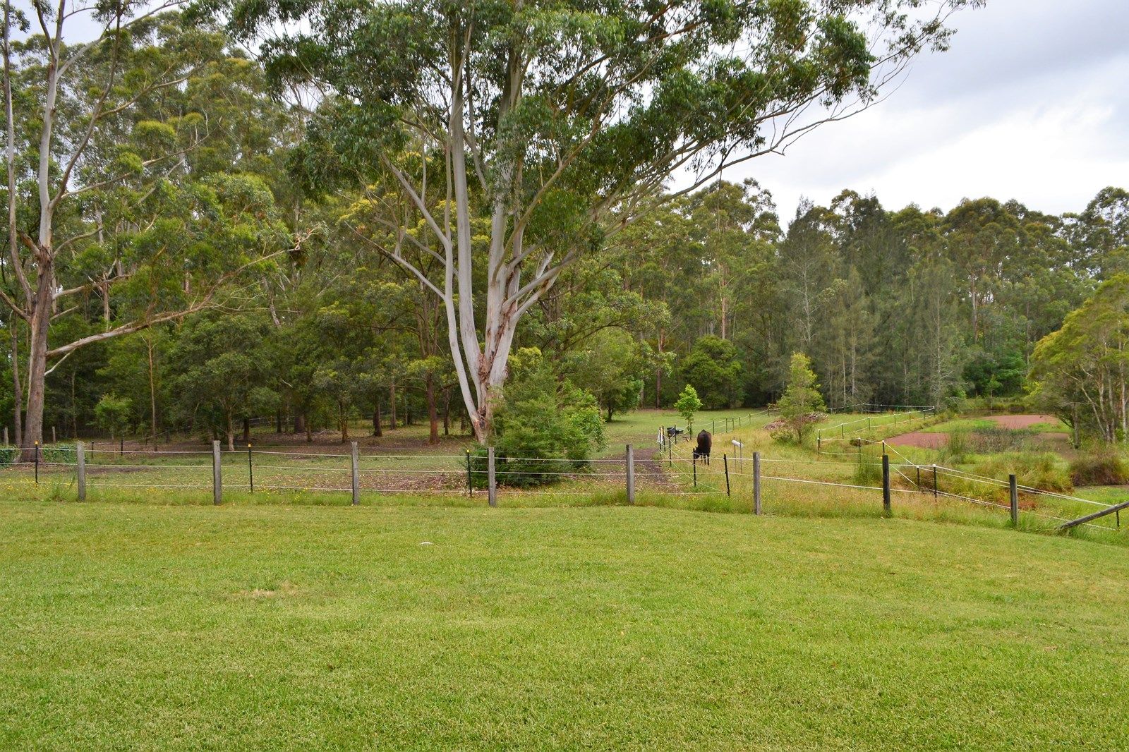 120 Martinsville Road, Martinsville NSW 2265, Image 1