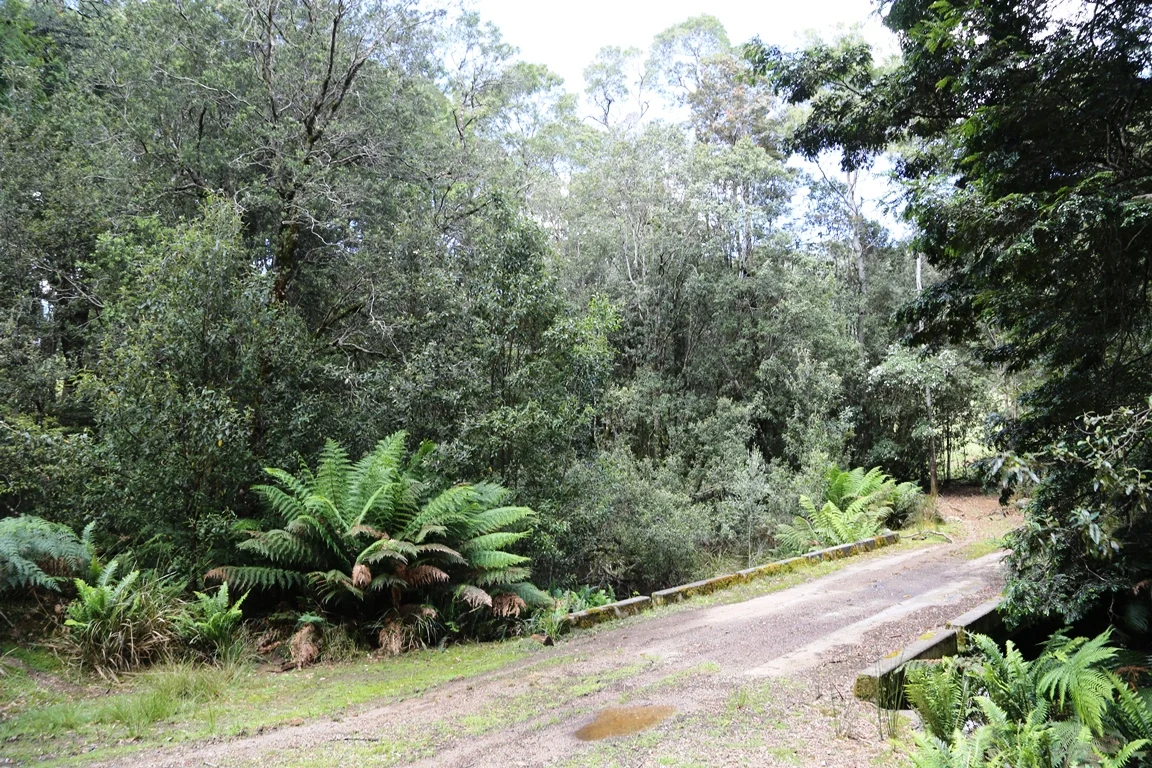 Image 13