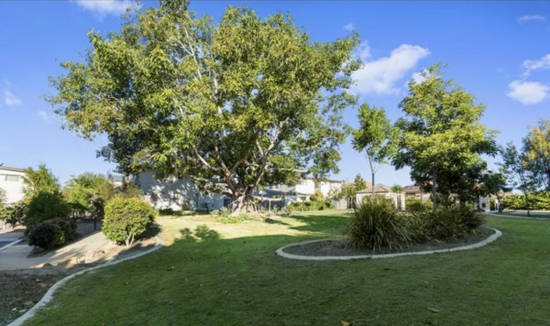 Additional image 12 of 88 Shelduck Place, Calamvale QLD 4116