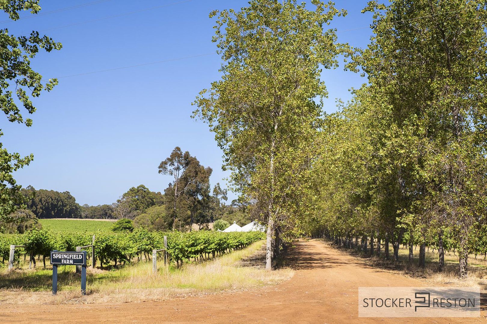 796 Commonage Road, Yallingup WA 6282 House for Sale Domain