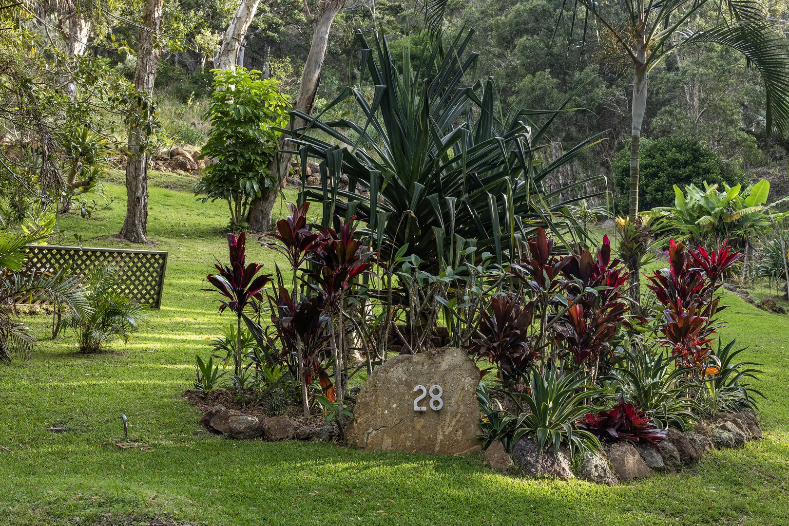 Image 13