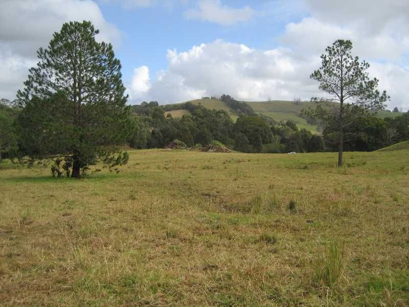 Lot 91 Palm Lily Crescent, BANGALOW NSW 2479, Image 1