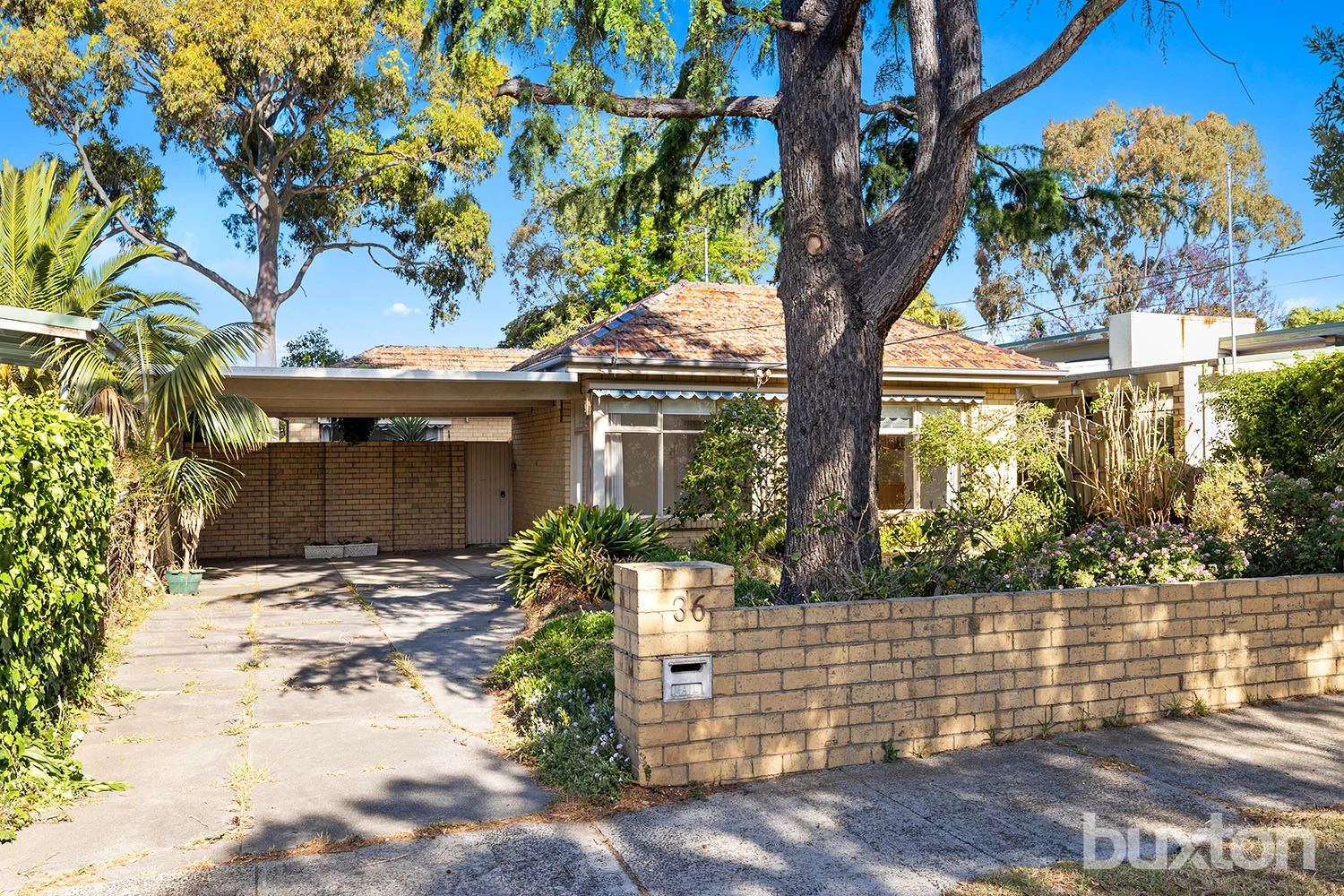 Primary image of 36 Coreen Avenue, Beaumaris VIC 3193