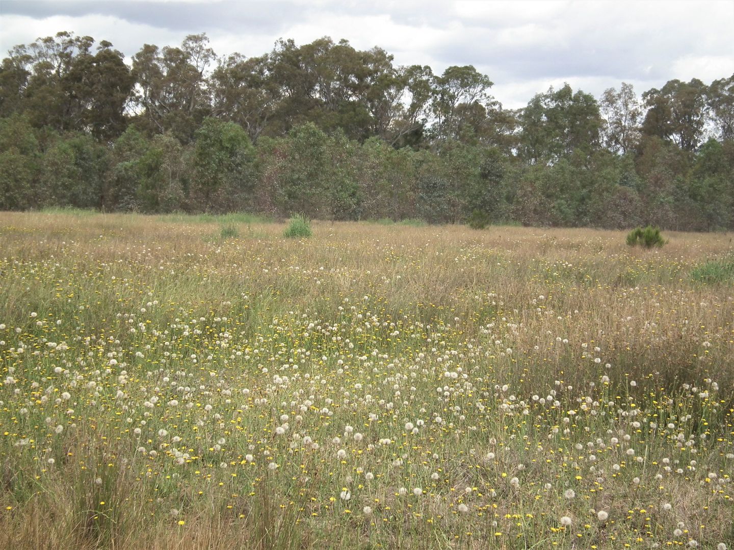 22 Wormangal-Wahring Road, Nagambie VIC 3608, Image 1