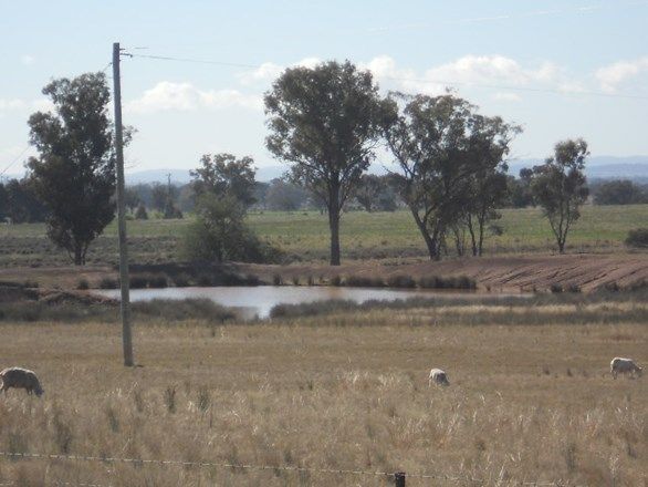 Lot 5 "Sunset Ridge" Hoopers Lane, Daroobalgie NSW 2870, Image 0