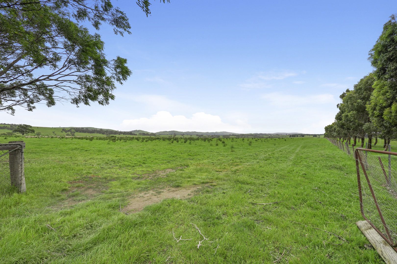Lot 1 Pattersons Road, Springfield VIC 3434, Image 1