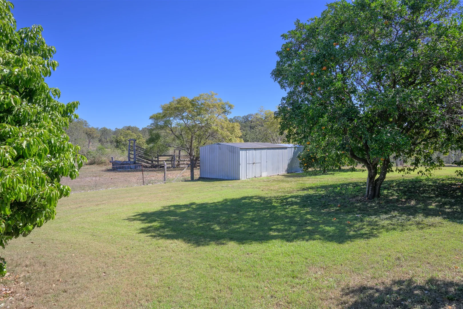 Image 16
