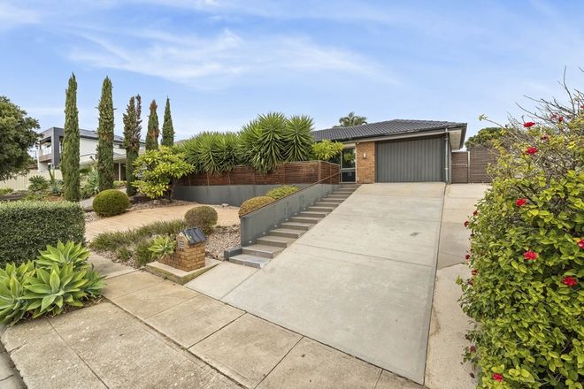 Picture of 101 Murrell Road, MODBURY HEIGHTS SA 5092