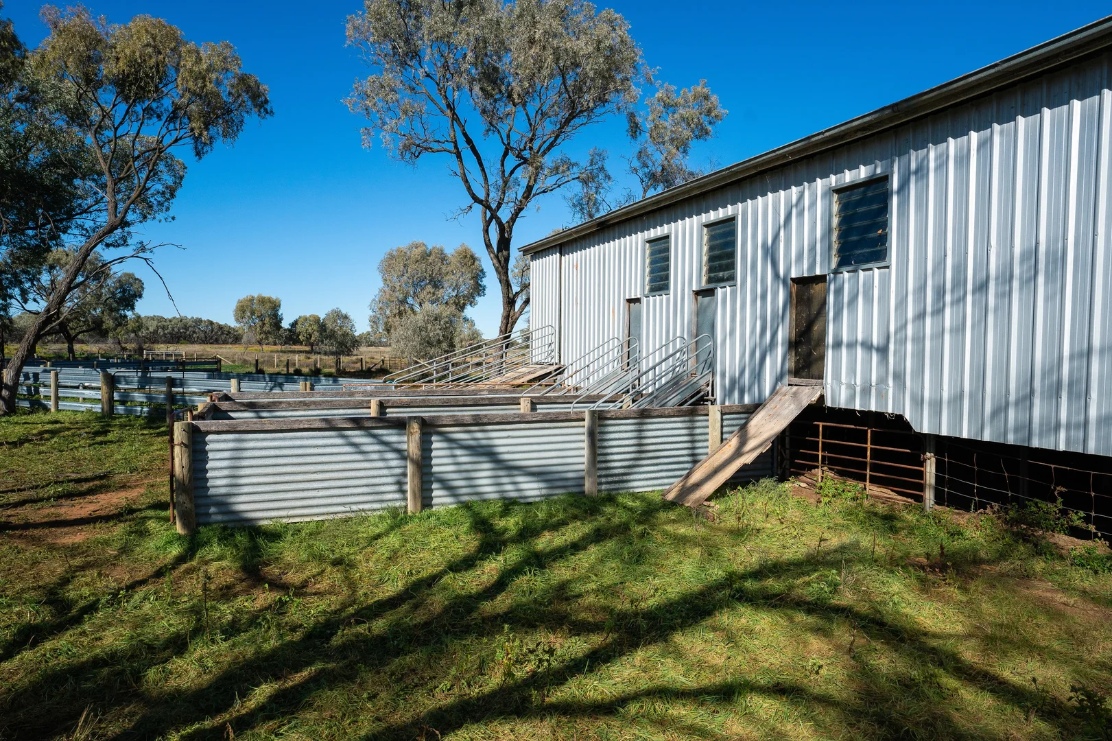 Image 7
