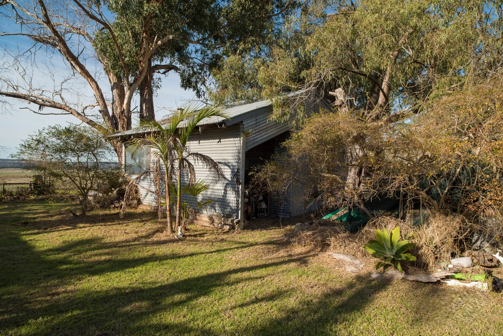 Image 7