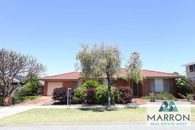 91 Enfield St, Lathlain WA 6100, Image 0