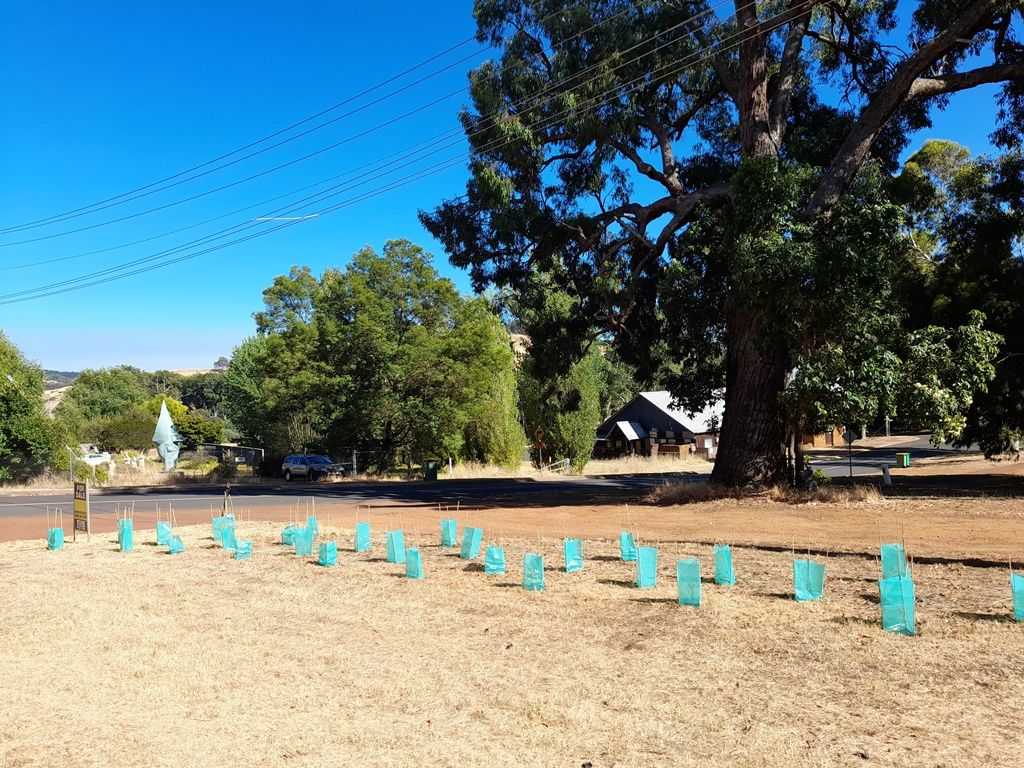 3 Blackwood River Drive, Balingu Property History & Address Research Domain