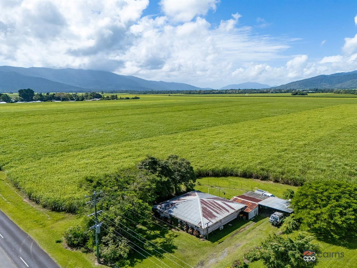 Additional image 13 of 314 Anderson Road, Aloomba QLD 4871