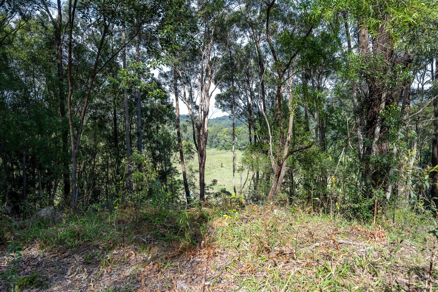 Image 12