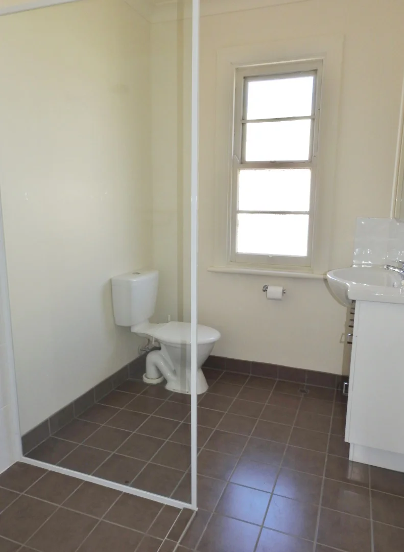 Additional image 7 of 49 Binalong Street, Young NSW 2594