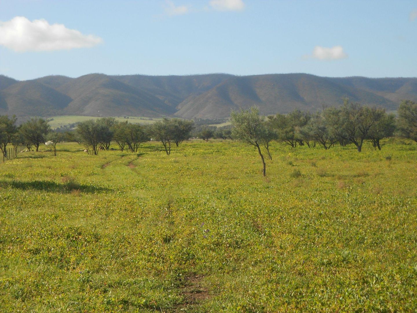 Lot 181 Government Road, Napperby SA 5540, Image 2