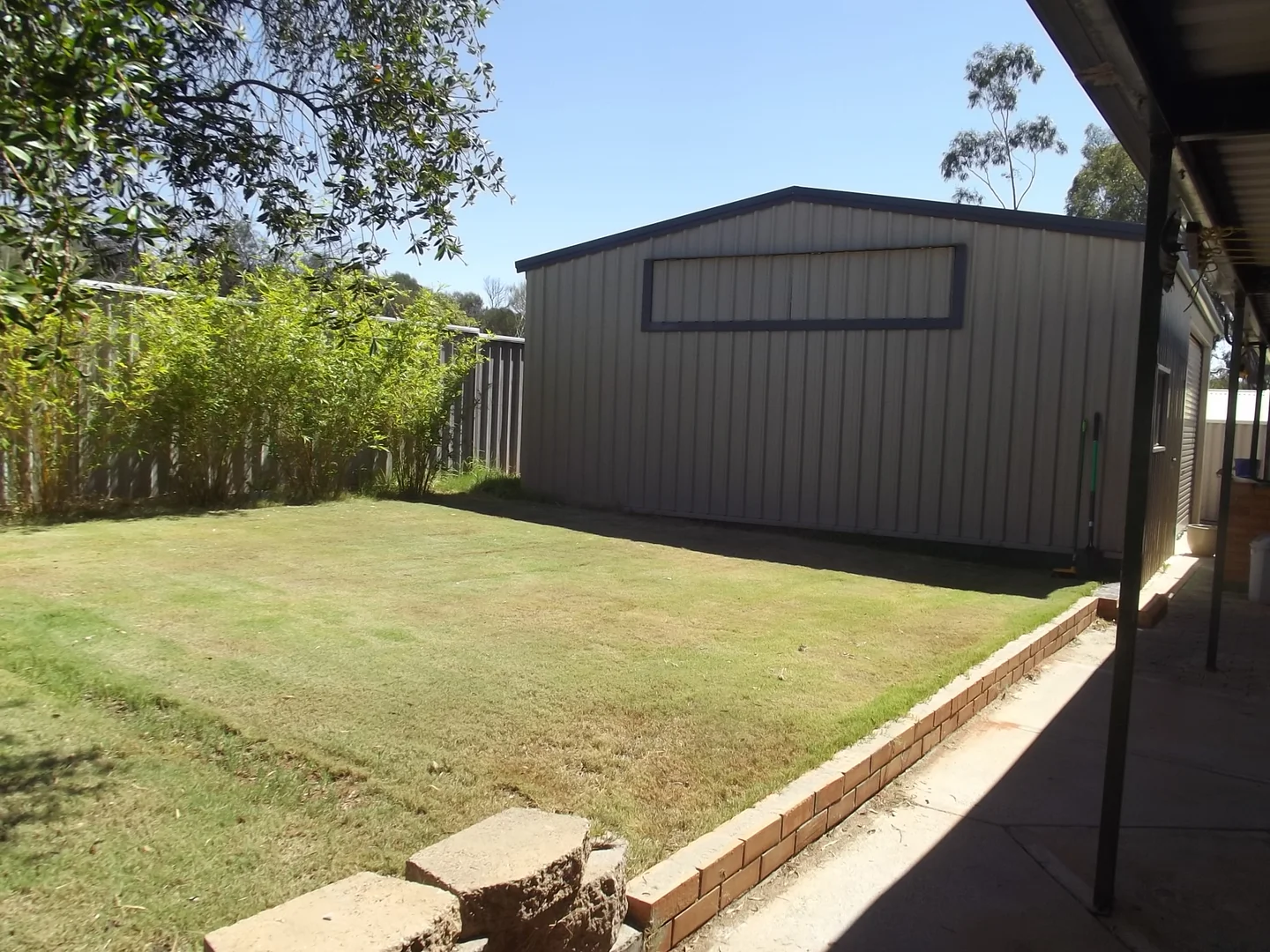 Image 6