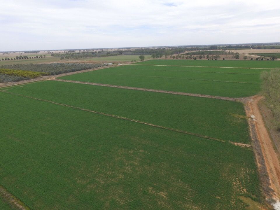 Lot 2 - 6091 Tocumwal Benalla Road, Cobram VIC 3644, Image 0