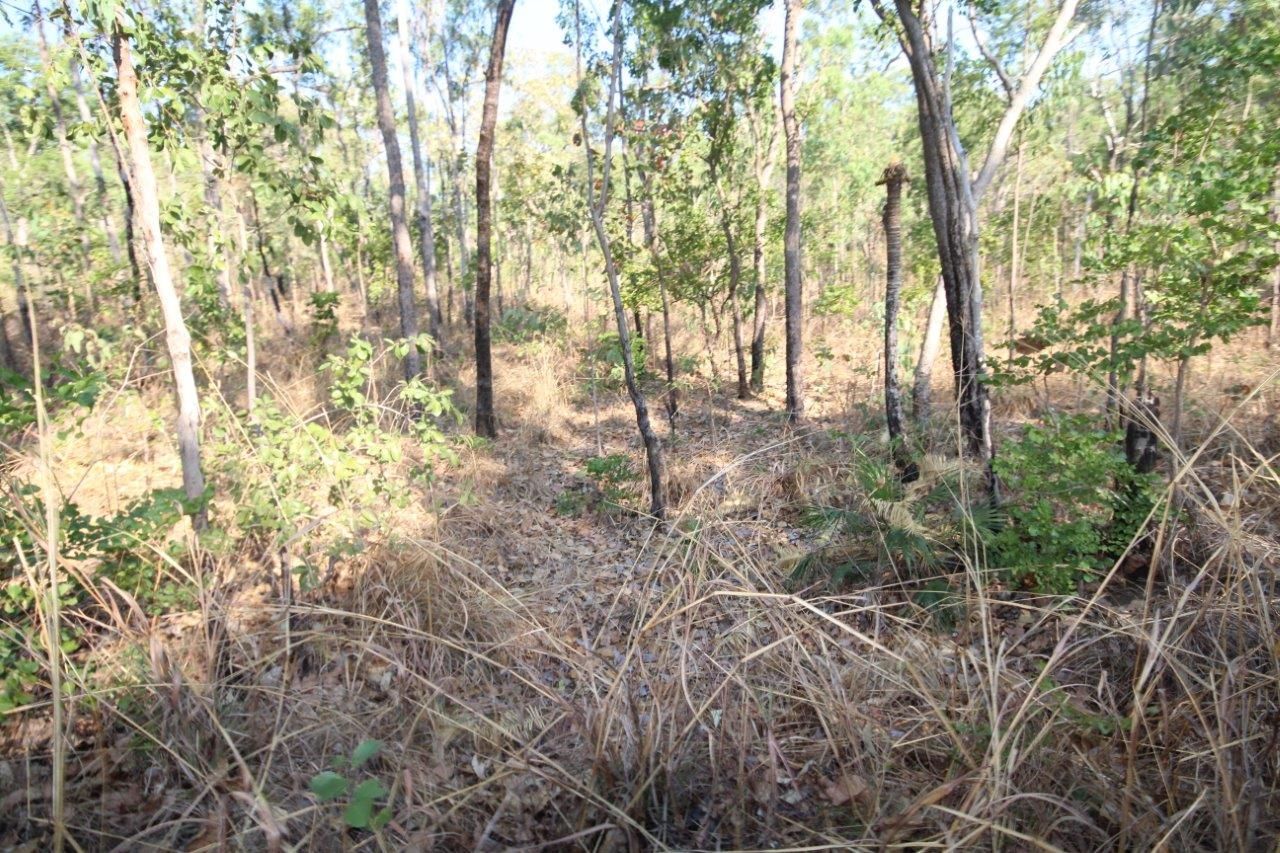 1485 Leonino Road, Darwin River NT 0841, Image 2