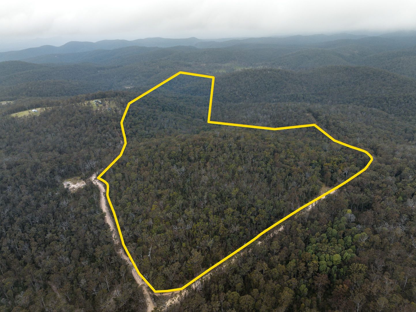 341 Patemans Road, Drake NSW 2469 House for Sale Domain