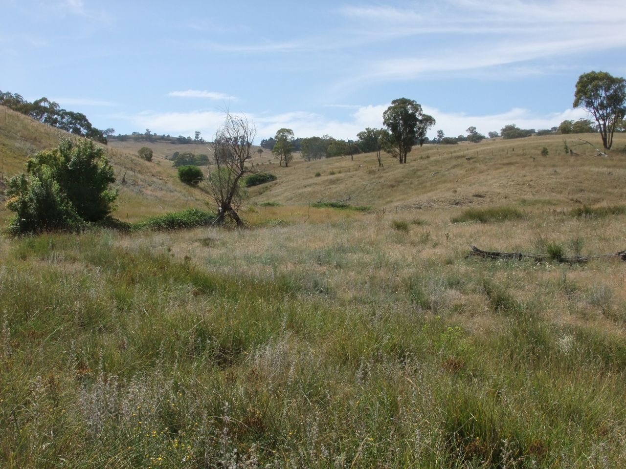 Sofala NSW 2795, Image 2