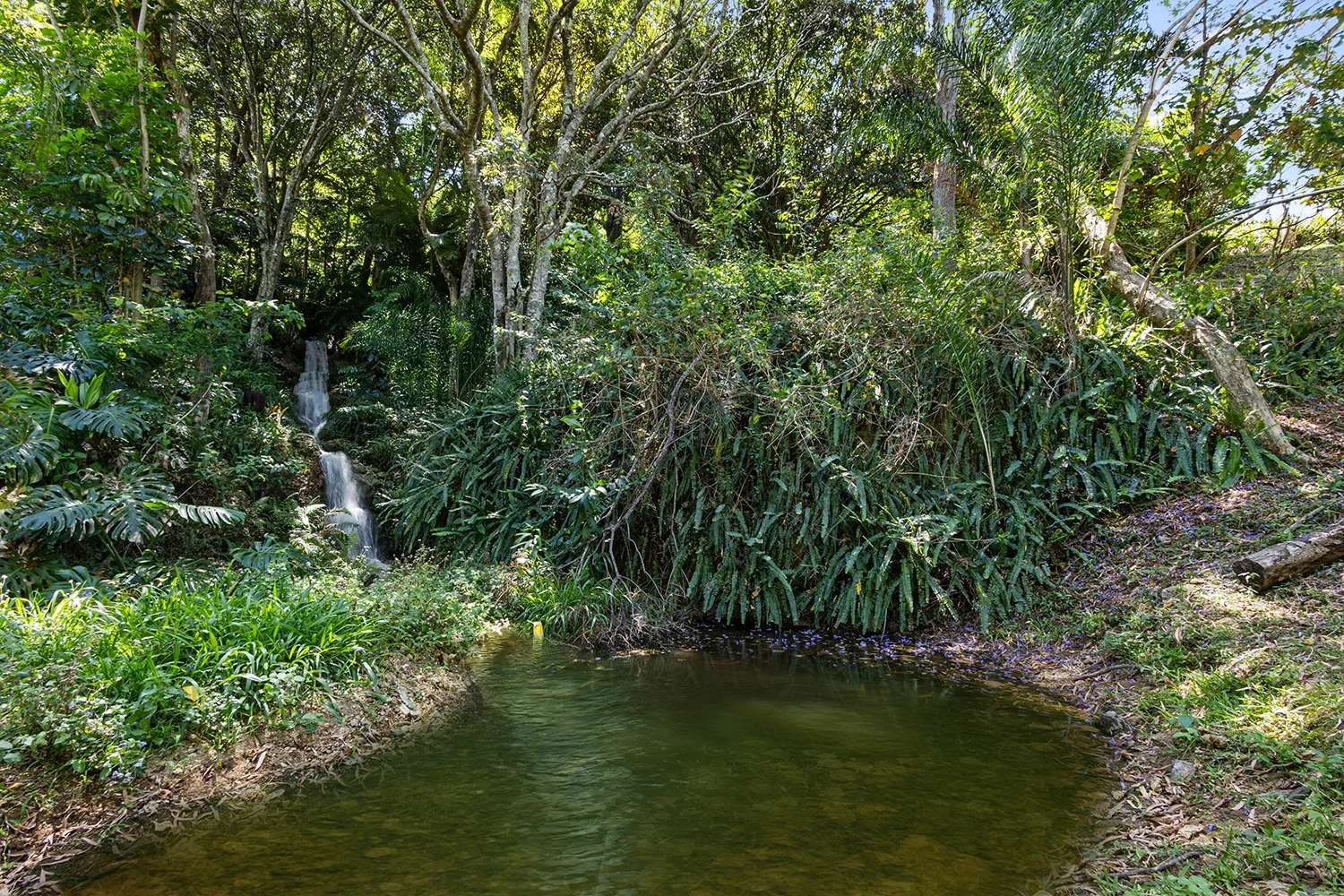 Image 22