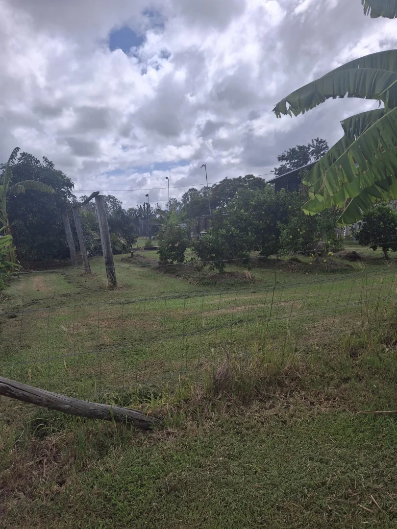Image 12