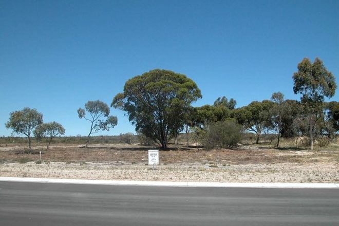 Picture of Lot 52/13 Dodd Street, BADGINGARRA WA 6521