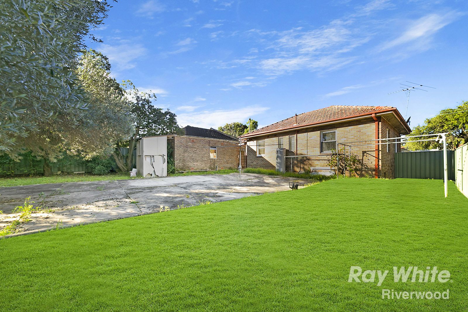 11 Iluka Street, Riverwood NSW 2210, Image 0