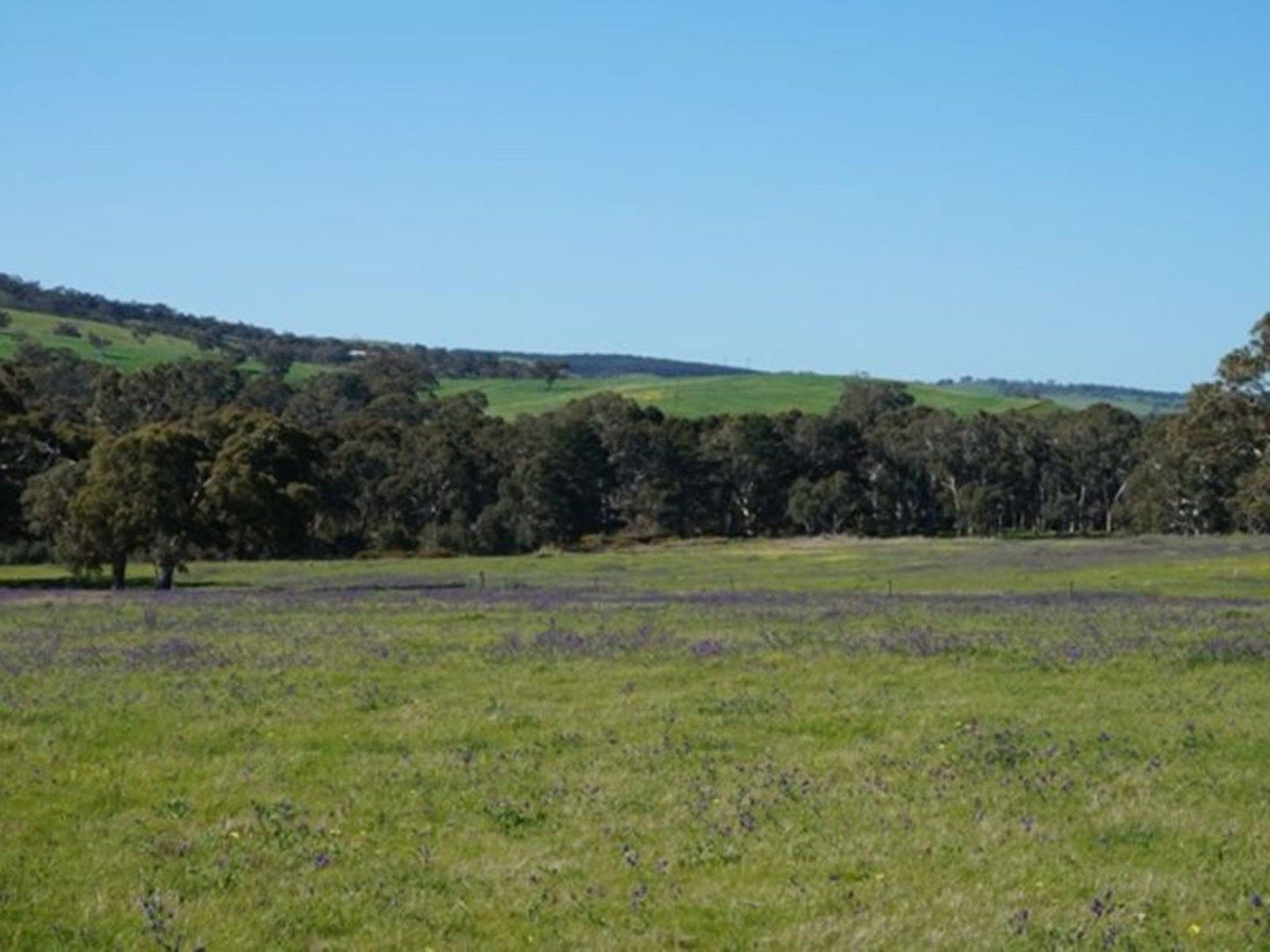 23 Wattle Flat Road, Yankalilla SA 5203, Image 0