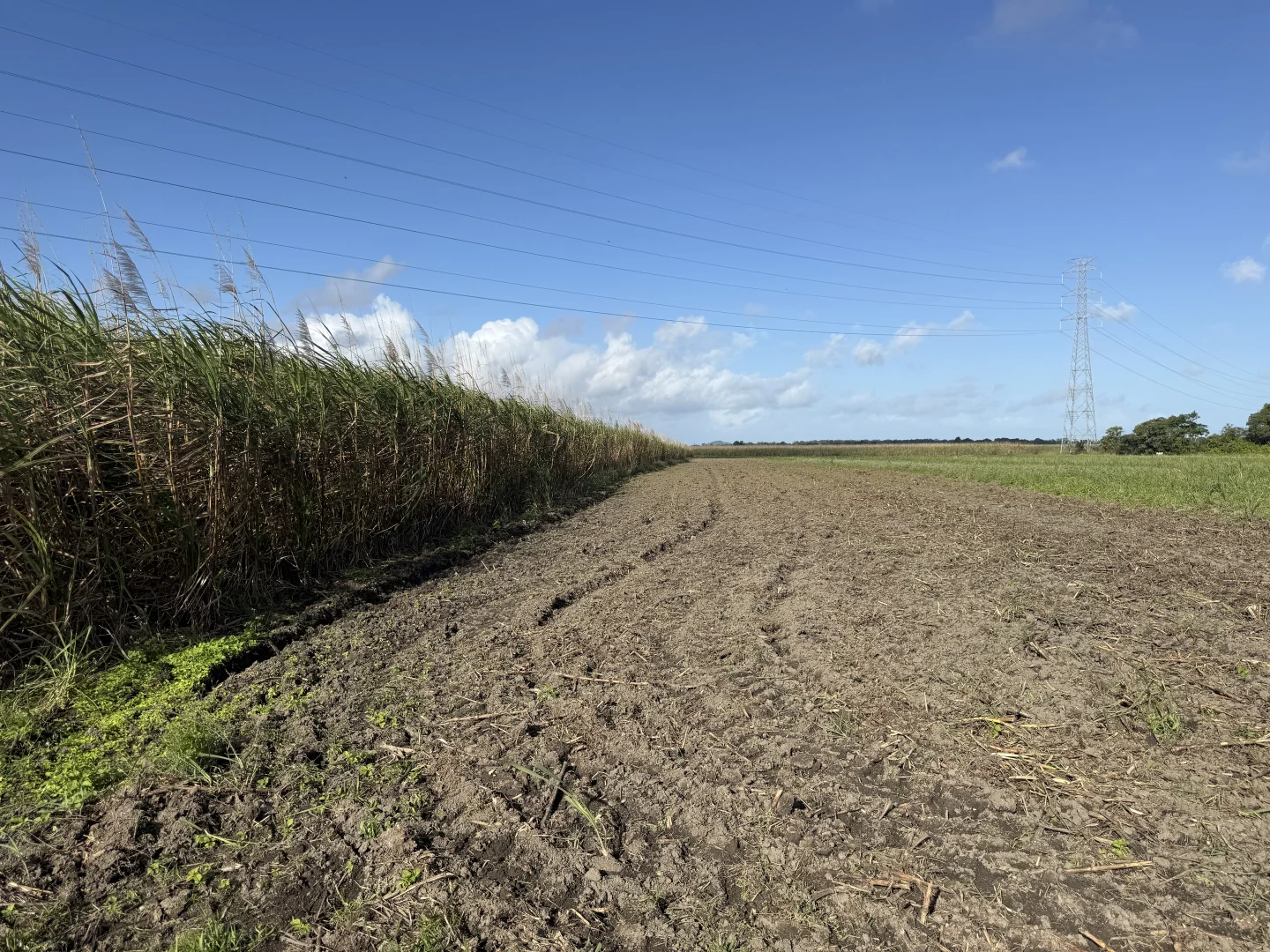 Silkwood QLD 4856 photo 5