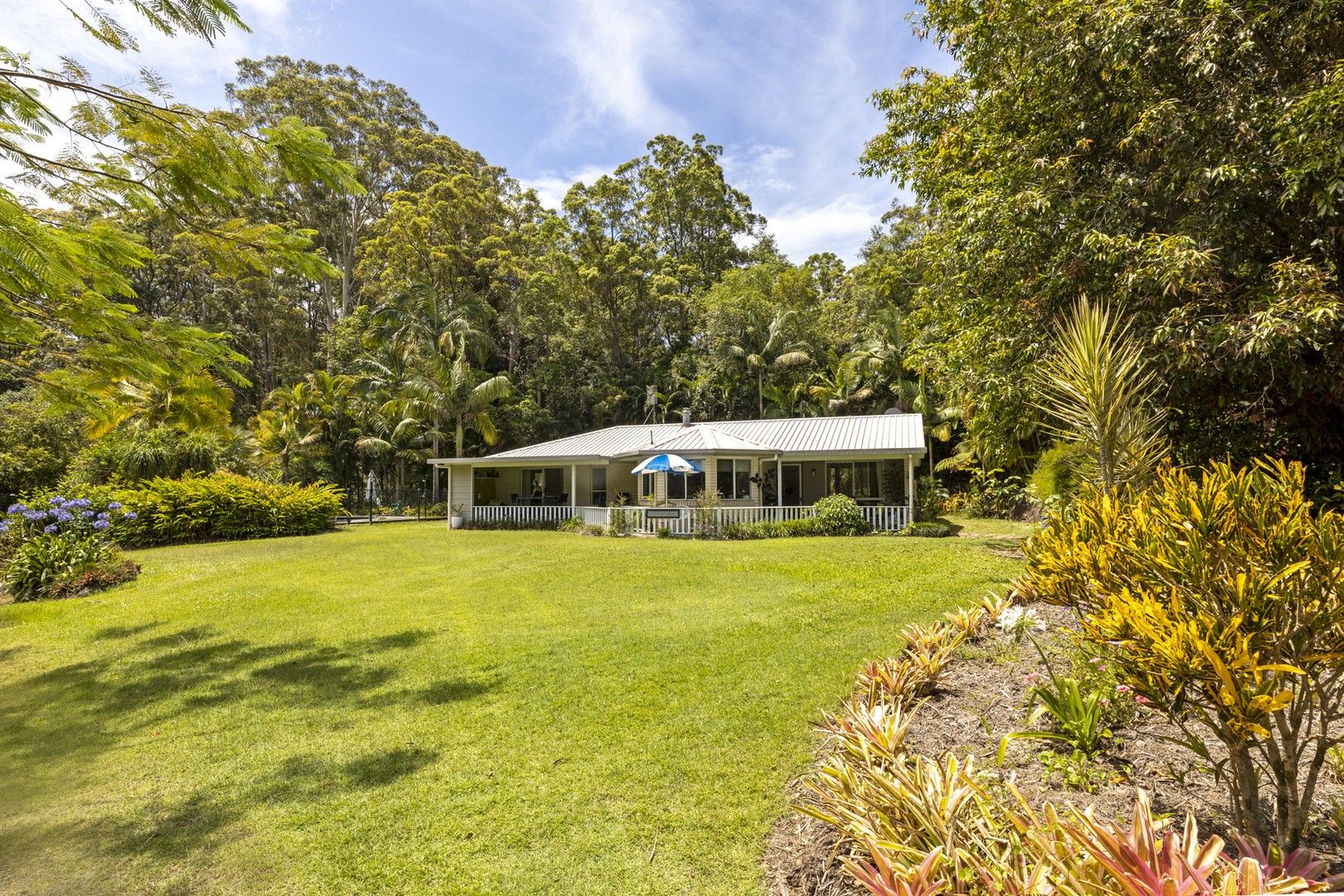 44 Eudlo Flats Road, Kiels Mountain QLD 4559 Domain