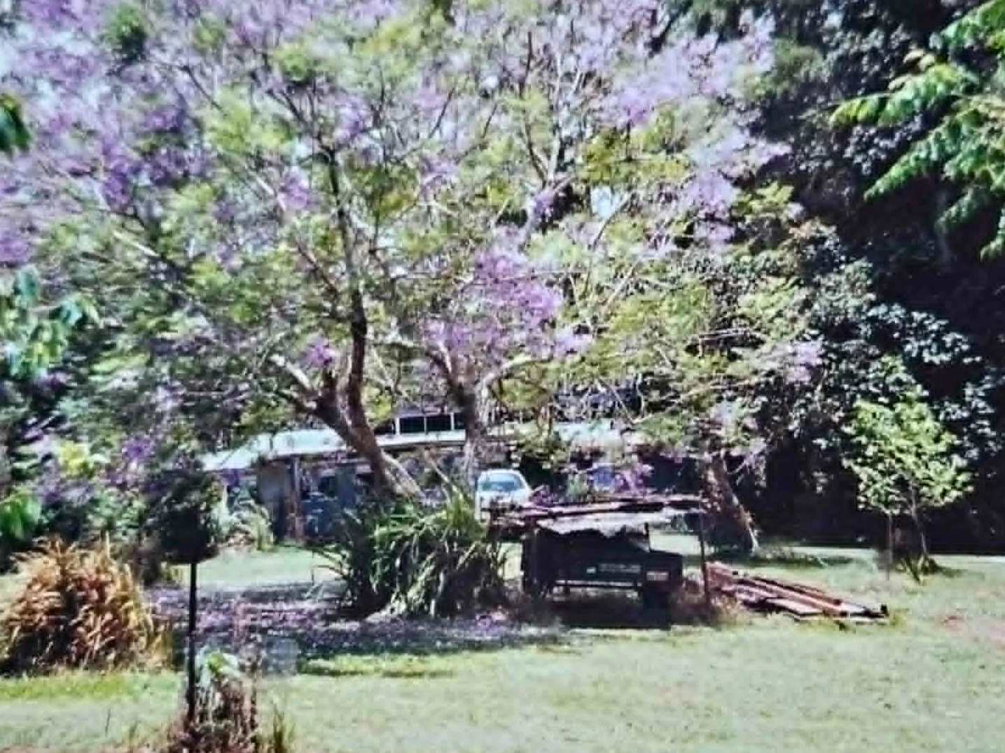 Wondecla QLD 4887 photo 4