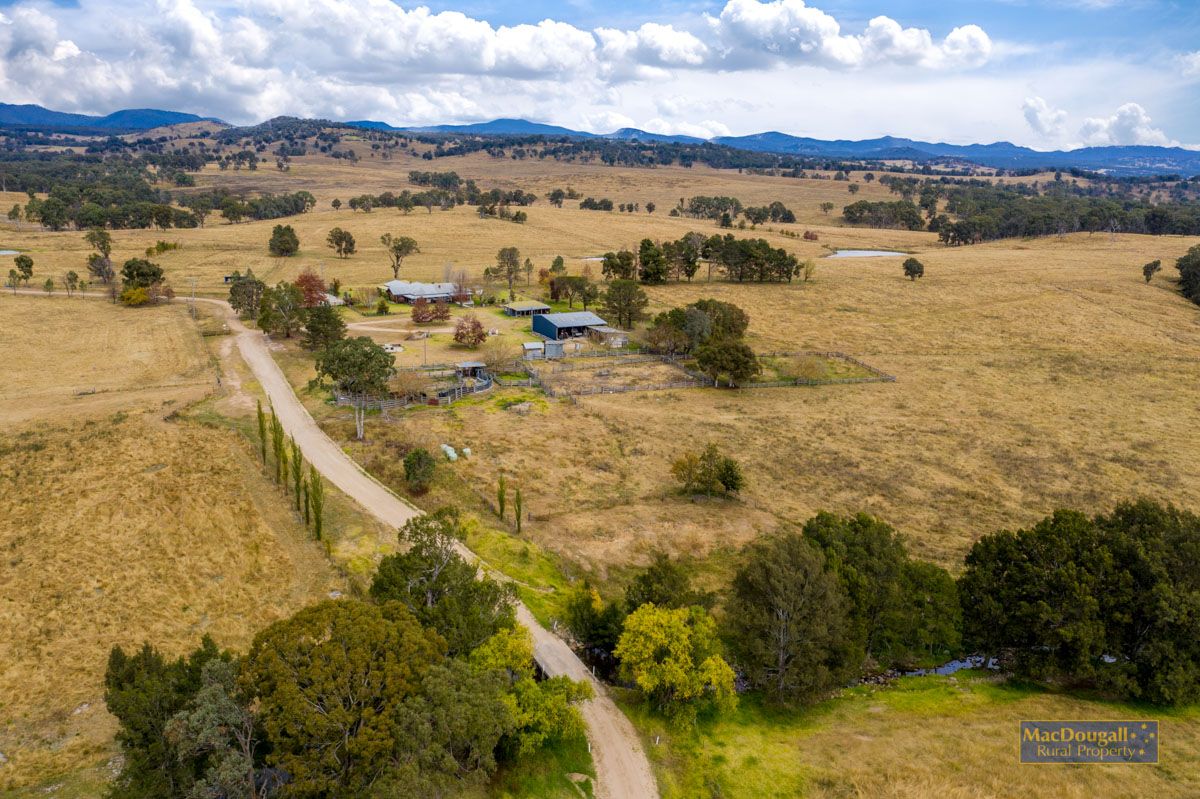 1259 Bald Rock Road, Tenterfield NSW 2372, Image 1