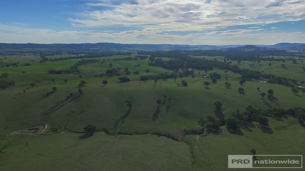 "Greenbank" 2847 Snowy Mountains Highway, Adelong NSW 2729, Image 1