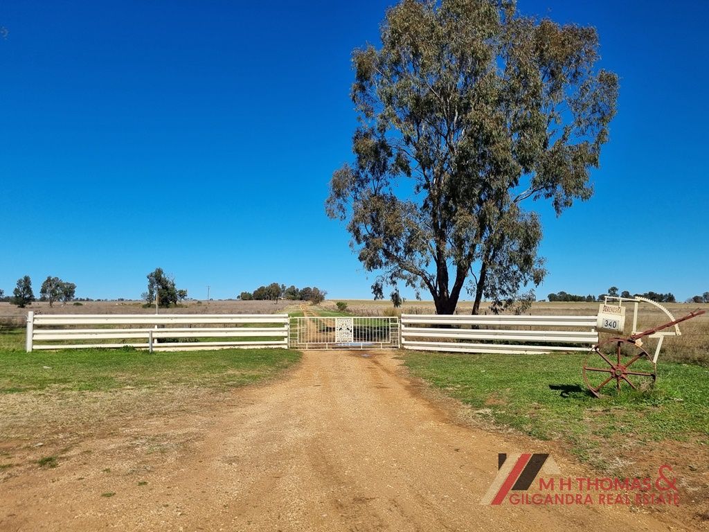 340 Mahers Hill Road, Gilgandra NSW 2827, Image 1