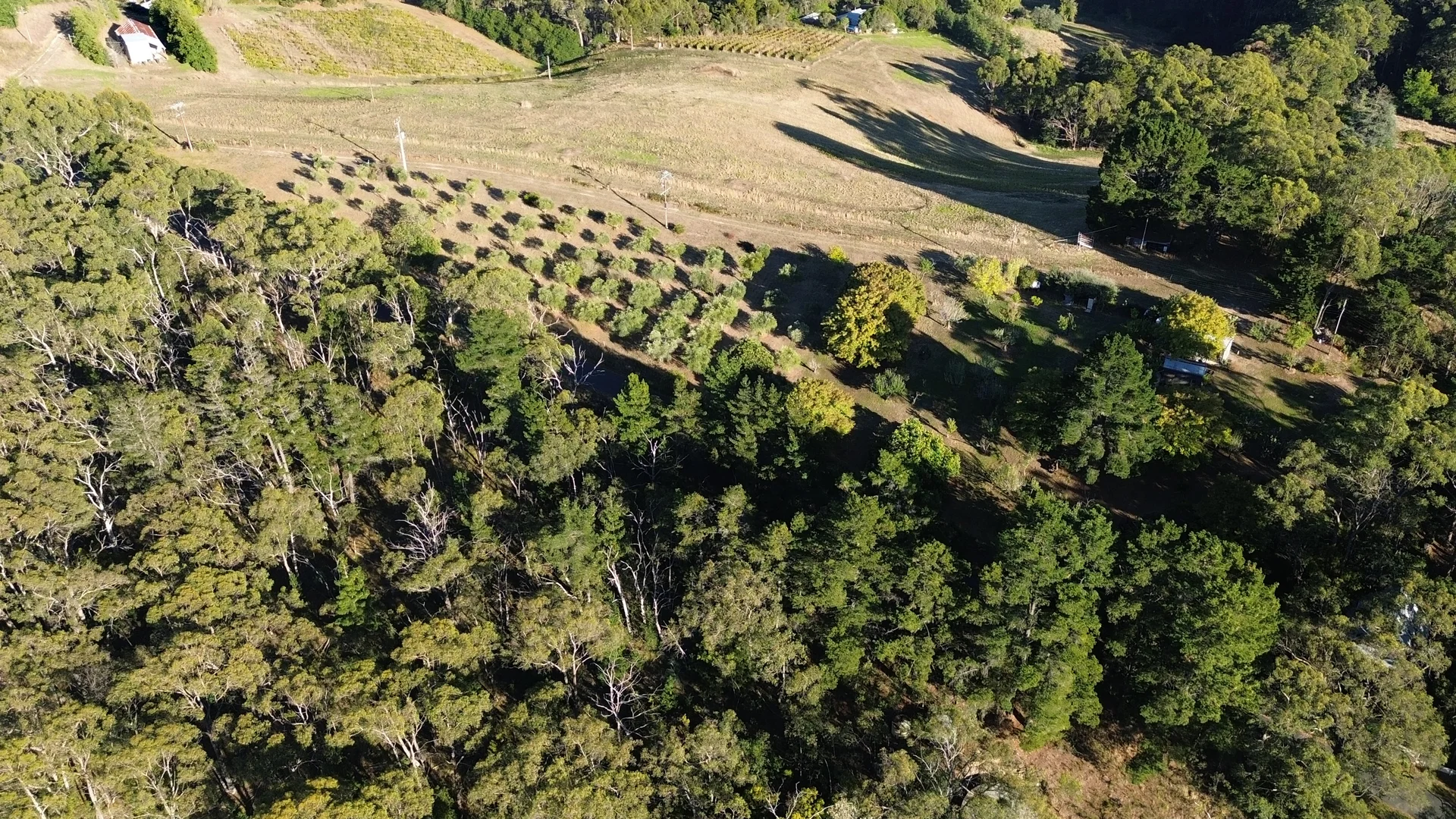 Additional image 9 of 261 Range Road, Basket Range SA 5138