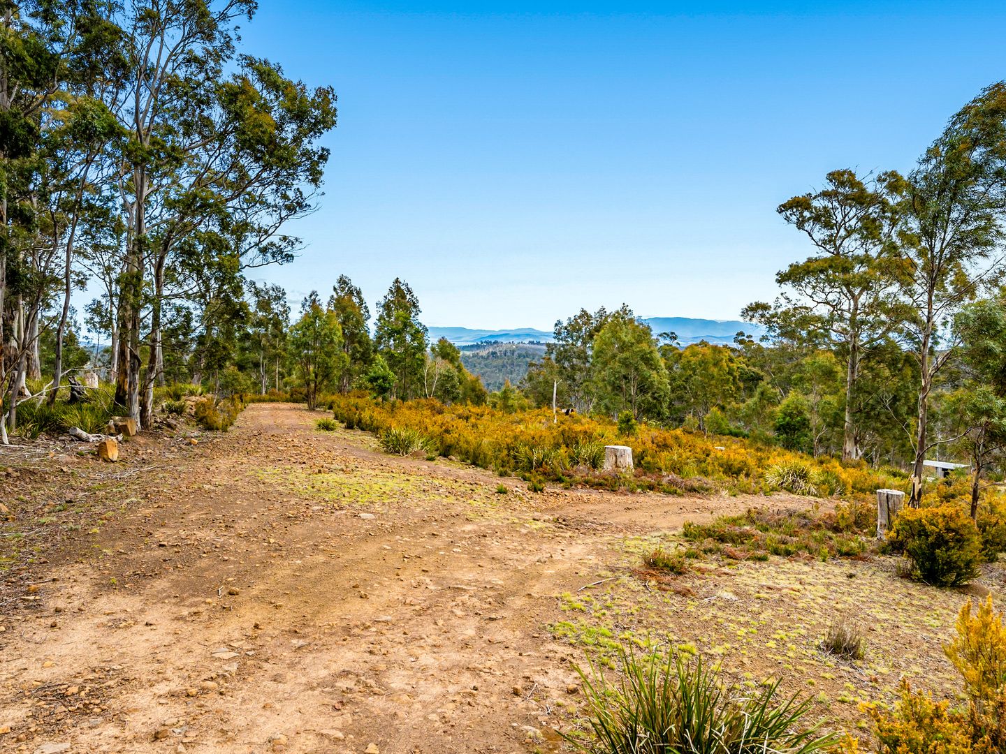 Lot 4 White Hill Road, Forcett TAS 7173 Vacant Land for Sale