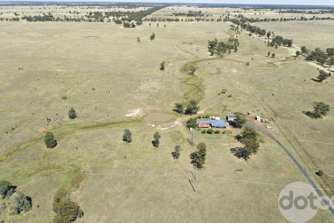 Picture of 4225 Newell Highway, BALLADORAN NSW 2822