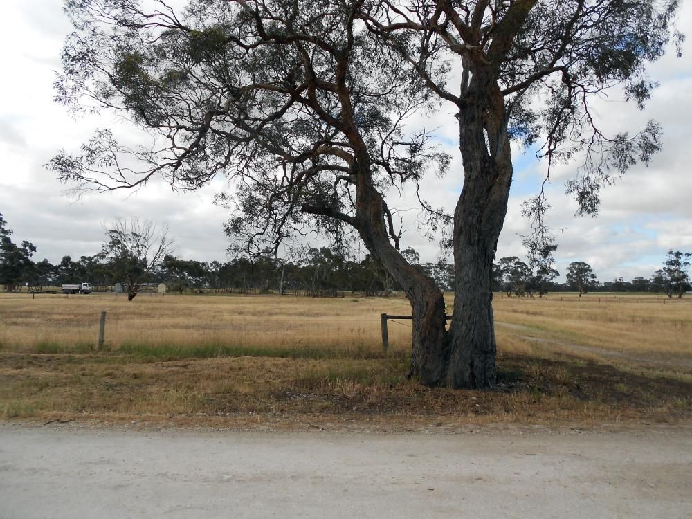 Lot 7 Weir Drive, Bordertown SA 5268, Image 2