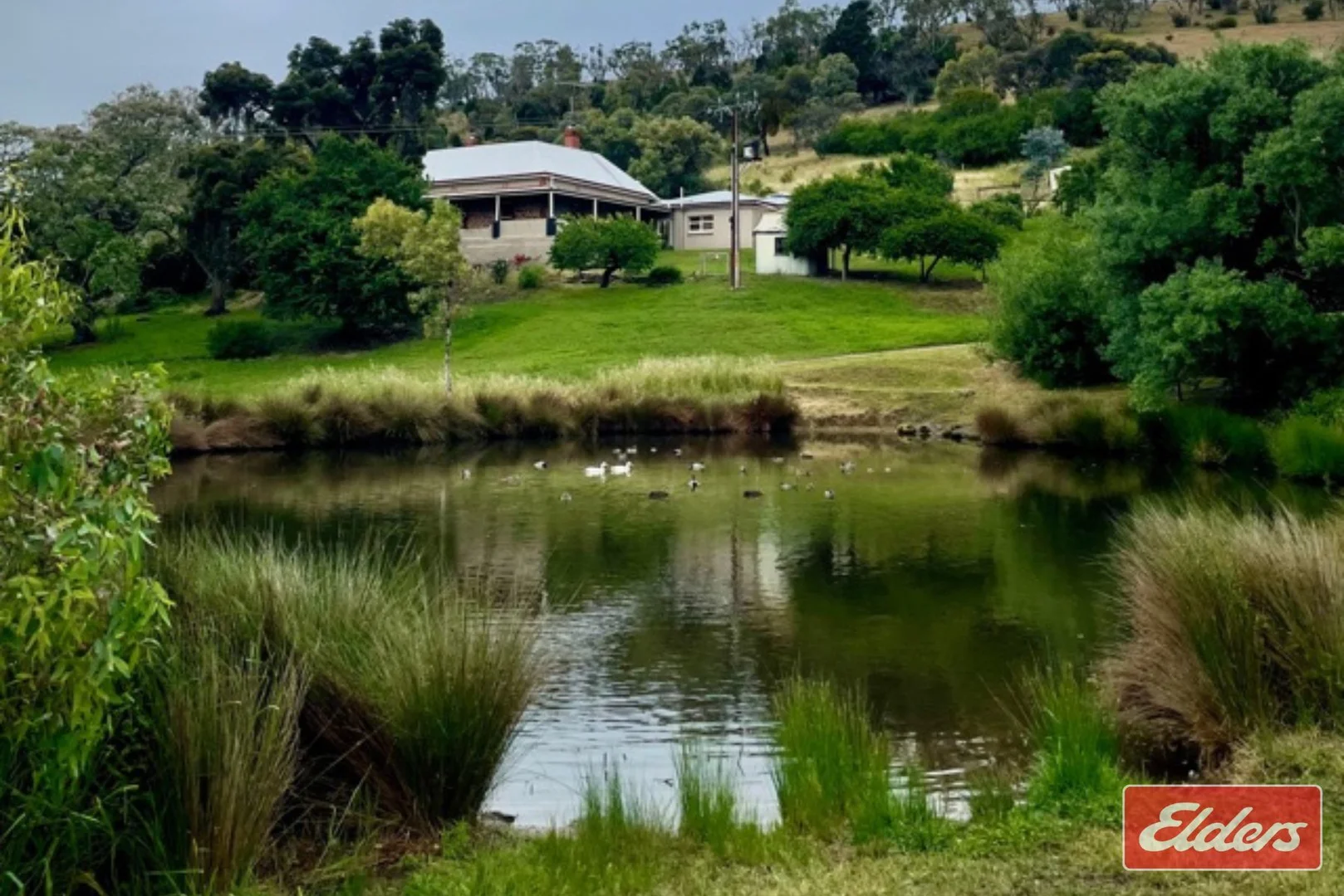 Additional image 6 of 36 Springton Road, Williamstown SA 5351