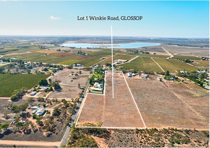 1 Winkie Road, Winkie SA 5343, Image 0