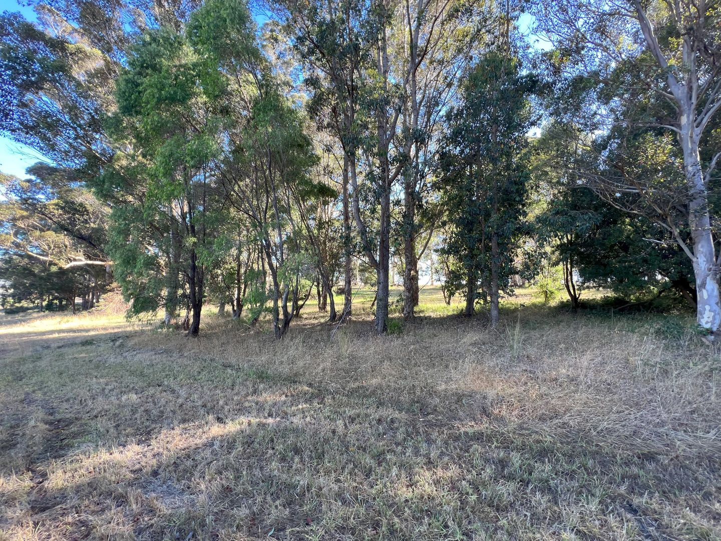 17 Point Hillier Vista, Shadforth WA 6333, Image 2