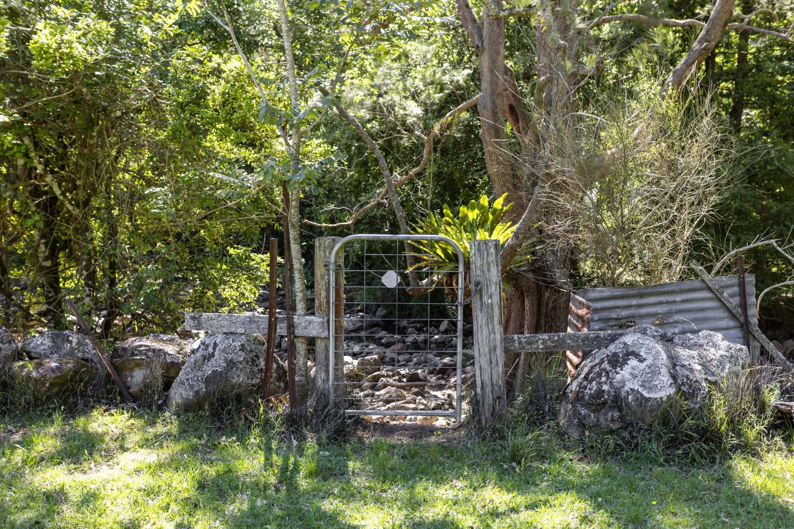 Image 6