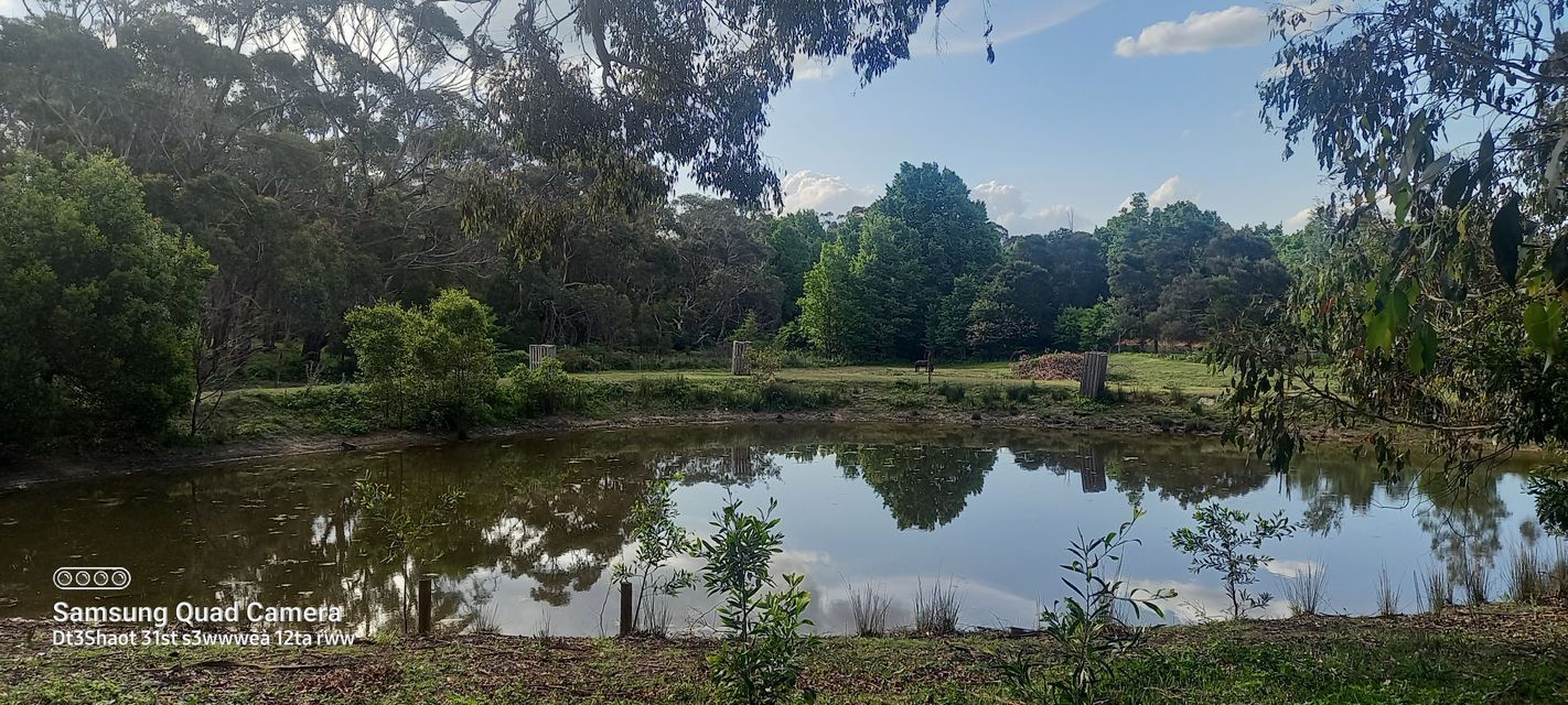 48 SUTTONS LANE, Glenlyon VIC 3461 House for Sale Domain