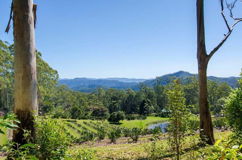 Lot 1  Middle Ridge Road, Upper Main Arm NSW 2482, Image 0