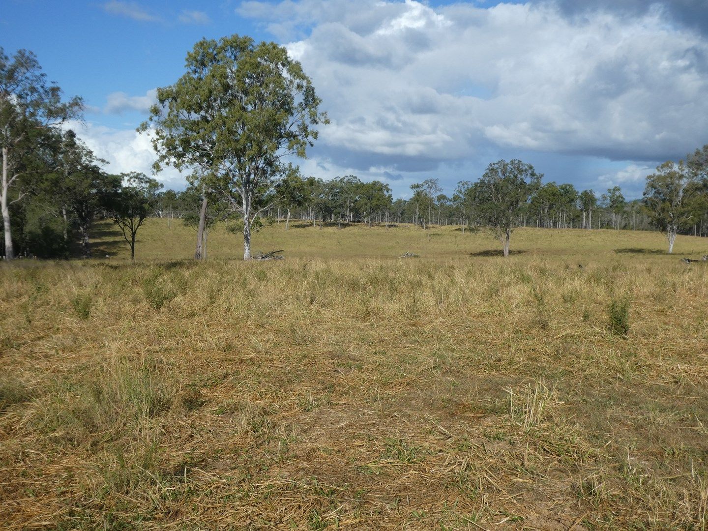 Doongul QLD 4620, Image 0