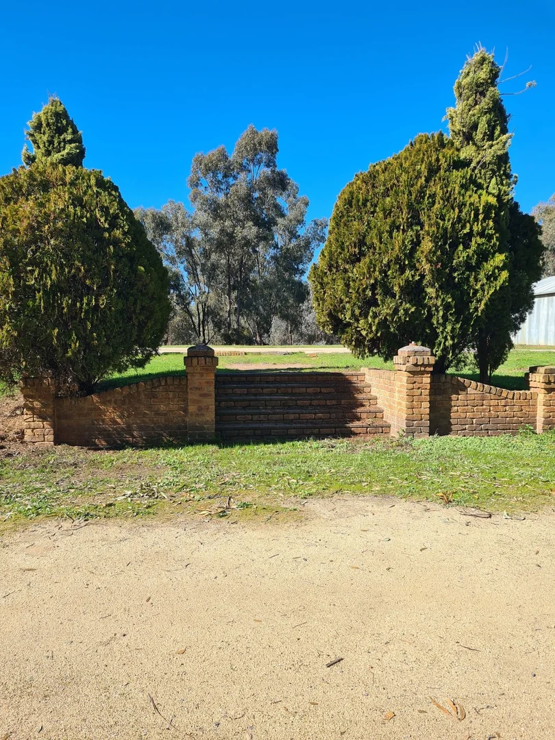Image 8